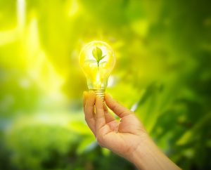 hand holding light bulb with energy, fresh green leaves inside